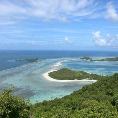 The image features a beautiful beach scene with a clear blue sky above. The primary subject is the sandy beach, which is surrounded by a lush green forest. The setting is a tropical island, and the visual style is a photo. The colors and mood of the image are vibrant and serene, with the blue sky and greenery creating a peaceful atmosphere.